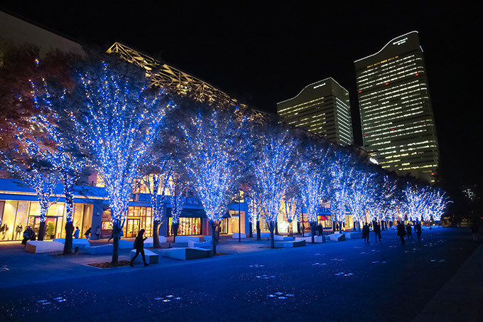 横浜MARK IS みなとみらいでクリスマス - 巨大なツリーと映像のコラボ、青い光に包まれた公園｜写真4