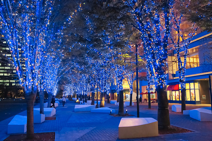 横浜MARK IS みなとみらいでクリスマス - 巨大なツリーと映像のコラボ、青い光に包まれた公園｜写真5