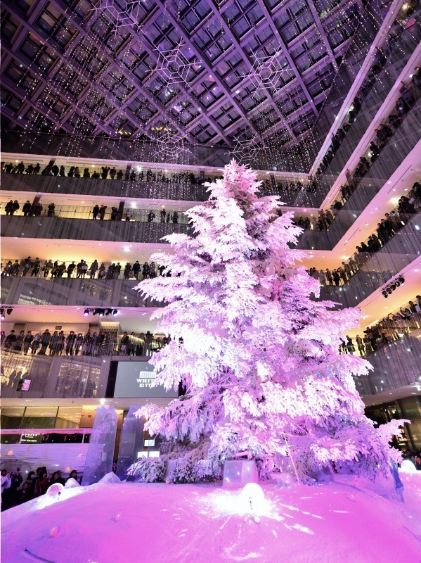 丸の内KITTEのクリスマス「ホワイト キッテ」屋内日本最大級のツリーを背景にオケのコンサート｜写真3