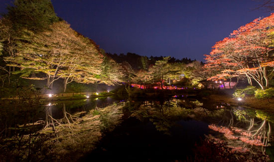 神戸・六甲高山植物園の紅葉ライトアップ「夜の紅葉散策」｜写真1