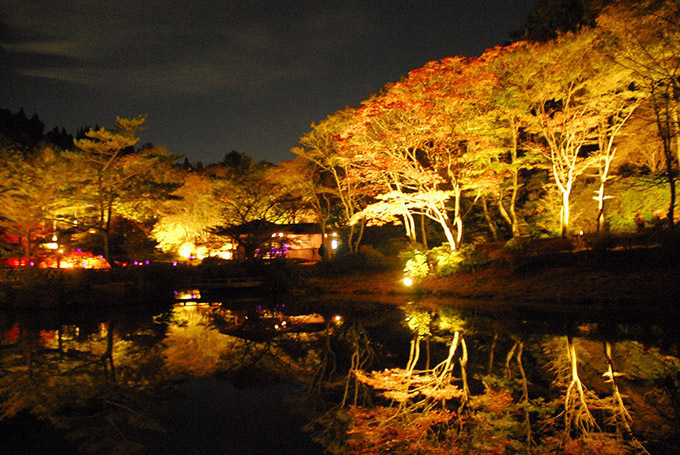 神戸・六甲高山植物園の紅葉ライトアップ「夜の紅葉散策」 | 写真