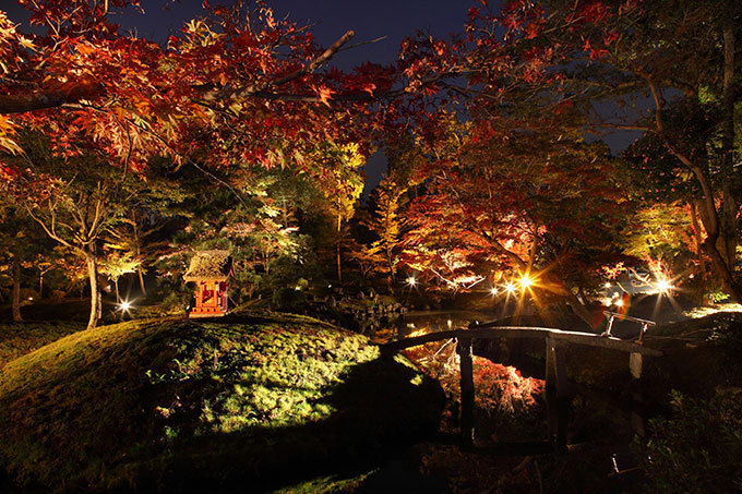 国宝・彦根城「玄宮園」秋の紅葉ライトアップ - 滋賀県の紅葉スポットを紹介｜写真4