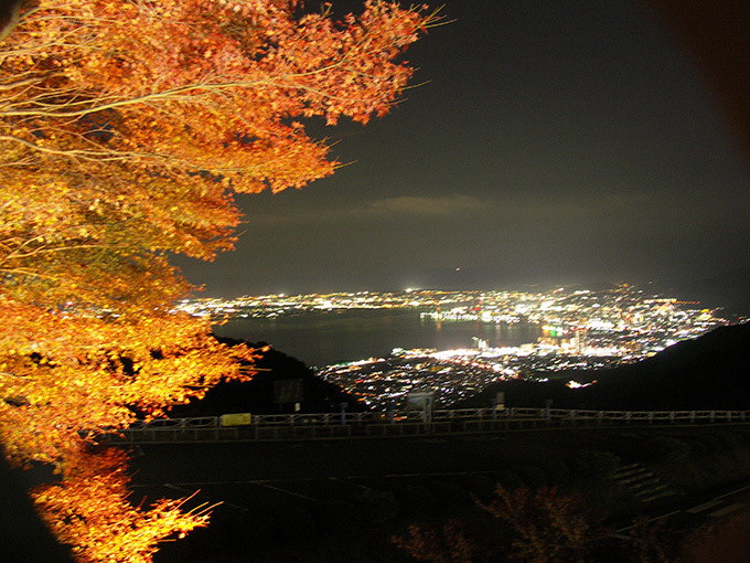 国宝・彦根城「玄宮園」秋の紅葉ライトアップ - 滋賀県の紅葉スポットを紹介｜写真5