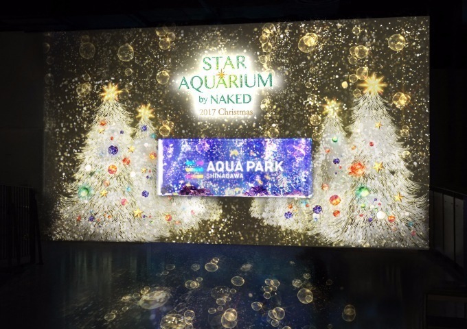 アクアパーク品川のクリスマス「スターアクアリウム バイ ネイキッド」昼夜異なるドルフィンショー｜写真7