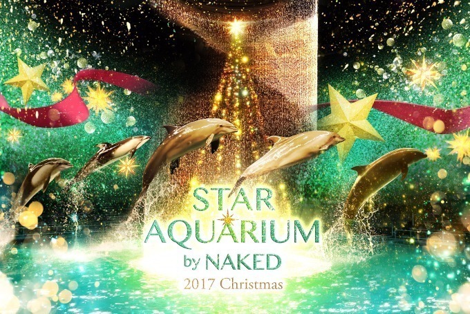 アクアパーク品川のクリスマス「スターアクアリウム バイ ネイキッド」昼夜異なるドルフィンショー｜写真8