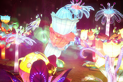 「ファンタジックイルミネーション〜光の国のアリス〜」