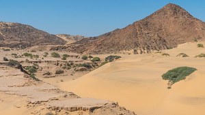 ジョー マローン ロンドン(JO MALONE LONDON) ミルラ & トンカ コロン インテンス｜写真9