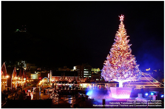 「はこだてクリスマスファンタジー」巨大ツリーイルミネーションと打ち上げ花火が夢の共演 | 写真