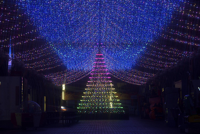 西武園ゆうえんち「イルミージュ」LED総数350万球、埼玉県内最大規模のイルミネーション｜写真8