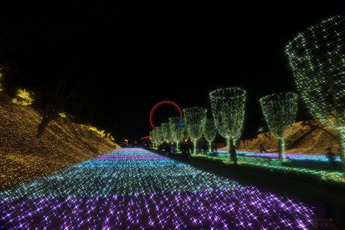 西武園ゆうえんち「イルミージュ」LED総数350万球、埼玉県内最大規模のイルミネーション｜写真16