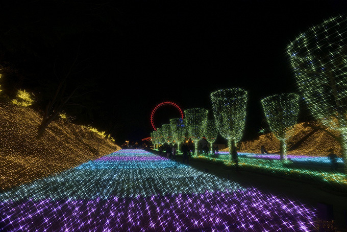 西武園ゆうえんち「イルミージュ」LED総数350万球、埼玉県内最大規模のイルミネーション｜写真16