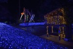 西武園ゆうえんち「イルミージュ」LED総数350万球、埼玉県内最大規模のイルミネーション｜写真11