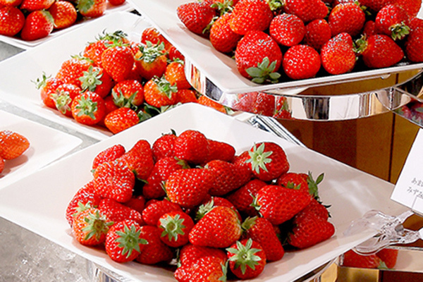 横浜ベイホテル東急「いちごジャーニー」