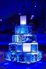 すみだ水族館の「クラゲと恋するクリスマス」雪の結晶型クラゲが舞う“東京クラゲツリー”｜写真2