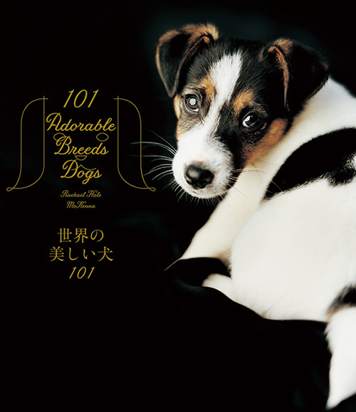 写真10 11 写真集 世界の美しい犬101 101匹を集めたビジュアル犬図鑑 性格や特徴も紹介 ファッションプレス