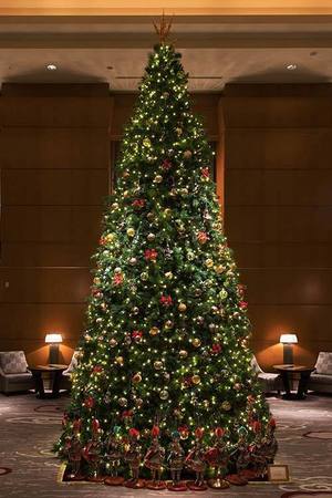 ドルチェ ガッバーナ ザ リッツ カールトン東京のクリスマスツリーをデザイン ファッションプレス