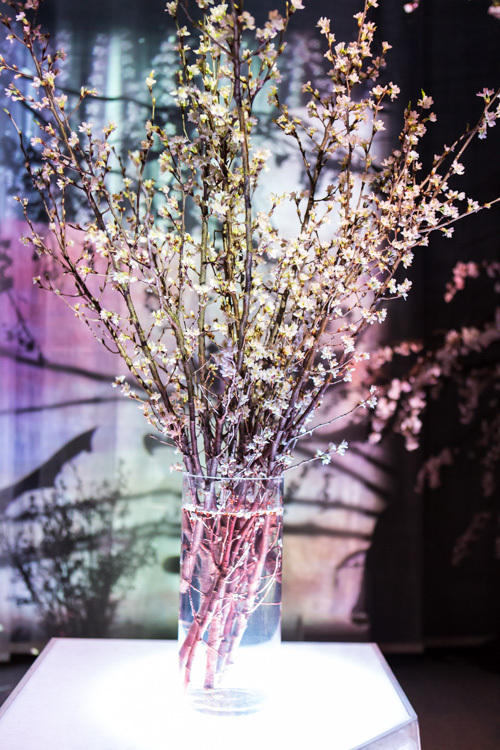 「フラワーズバイネイキッド 2017 —立春—」日本橋で、日本一早い花見をデジタルアートで体感｜写真27