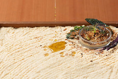 ミナ ペルホネン「味のカタチ」