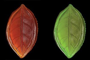 スリランカ発アーユルヴェーダコスメ「スパセイロン」からハーブが香るカラフルソープ