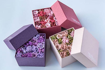 エストネーション