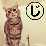 「ねこ休み展 冬 2017」東京・浅草橋で - 猫の日限定の“猫似顔絵”企画も｜写真9