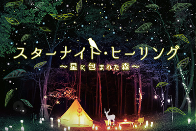 「スターナイト・ヒーリング」