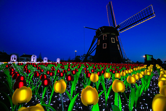ハウステンボス「チューリップ祭」- 風車が回る田園風景に色鮮やかな花々 | 写真