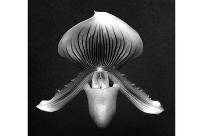 シャネル「メメント モリ」