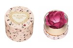 レ・メルヴェイユーズ ラデュレ‟バラのつぼみのチークカラー”5周年限定モデル登場｜写真6