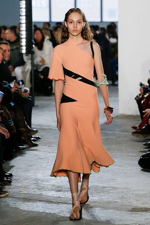 プロエンザスクーラー(Proenza Schouler) 2017-18年秋冬ウィメンズコレクション  - 写真9