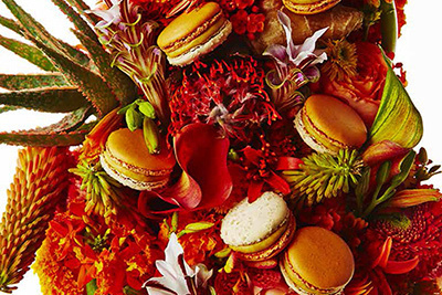 ピエール・エルメ・パリ「ジャルダン ド リマ」