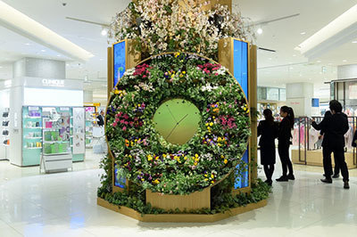 「マロニエゲート銀座 2&3」