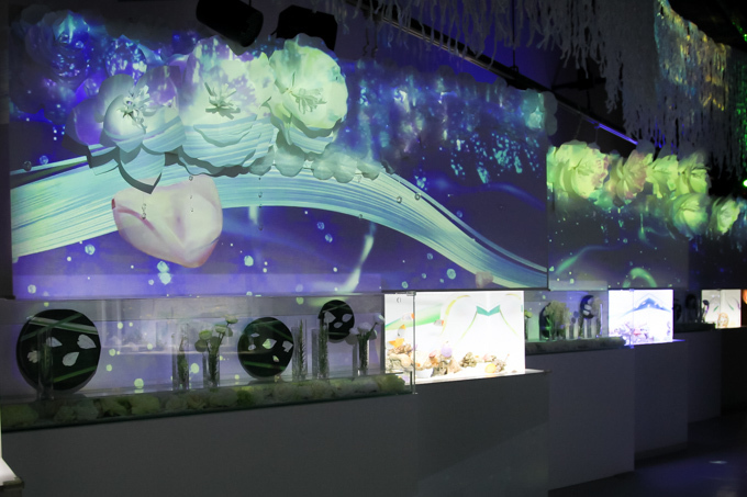 水族館アクアパーク品川「フラワーアクアリウム バイ ネイキッド」海×花の幻想空間で新生イルカショー｜写真7