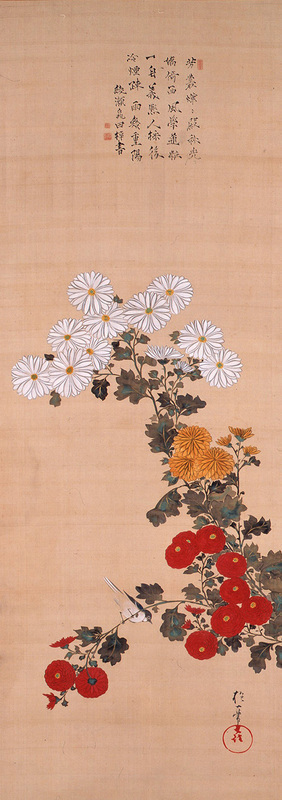 酒井抱一《菊小禽図》19世紀(江戸時代) 絹本・彩色 山種美術館