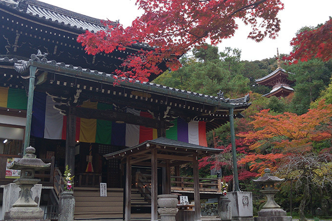 「春の特別拝観」京都や奈良などの寺院「西国三十三所」で - 興福寺の阿修羅像など秘宝公開、桜も見ごろ｜写真15