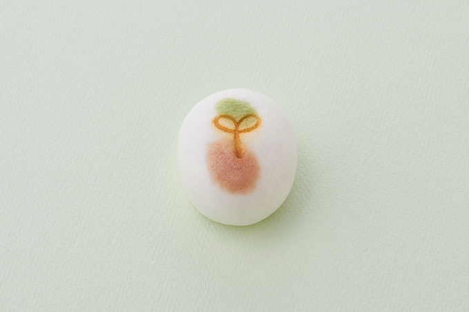 とらやの春限定和菓子、桜をモチーフにした羊羹や芽吹きを描いた饅頭｜写真4