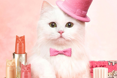 今年デビュー10周年のポール＆ジョー ボーテのキュートな猫モチーフ限定コスメ第2弾