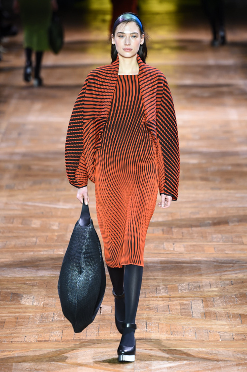 イッセイ ミヤケ(ISSEY MIYAKE) 2017-18年秋冬ウィメンズコレクション  - 写真30