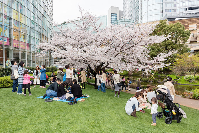 六本木ヒルズの「桜まつり 2017」- 桜のライトアップやグルメ屋台、グルメサンドイッチも登場｜写真17