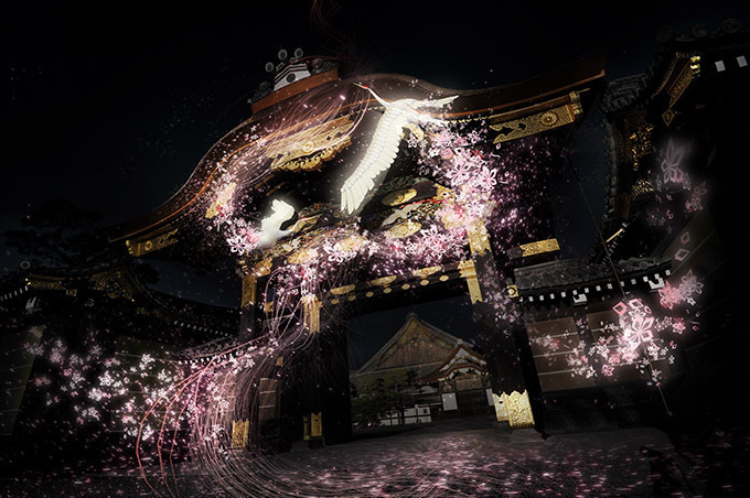 京都・二条城で桜のライトアップ＆プロジェクションマッピング、ネイキッドとコラボ | 写真