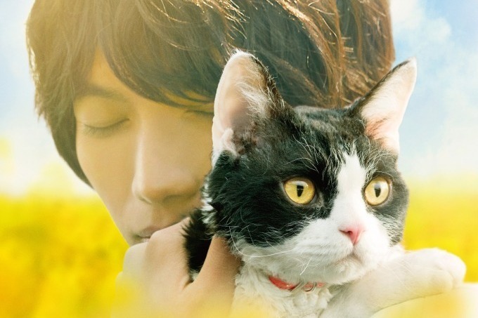 映画『旅猫リポート』主演・福士蒼汰、有川浩の心温まる感動小説を実写化 - 猫と一緒に日本各地を巡る