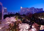 「高輪 桜まつり 2017」東京・品川で開催 - 夜桜ライトアップ、人力車や琴などの日本文化体験も｜写真1