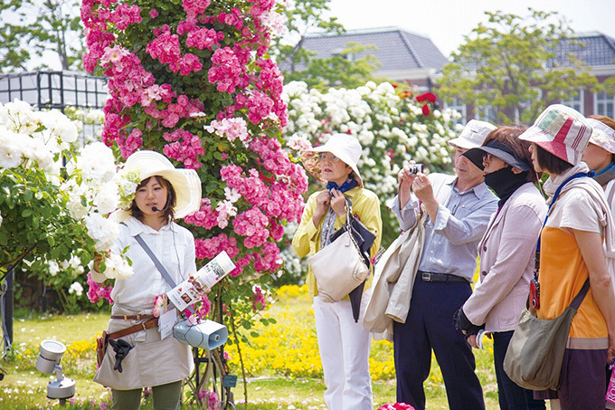 「2,000品種120万本バラ祭」長崎・ハウステンボスで - バラのガーデン×イルミネーションなど｜写真3