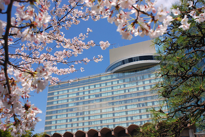 ホテルニューオータニの桜メニュー 57本の桜が咲き誇る日本庭園 春の味覚 ファッションプレス