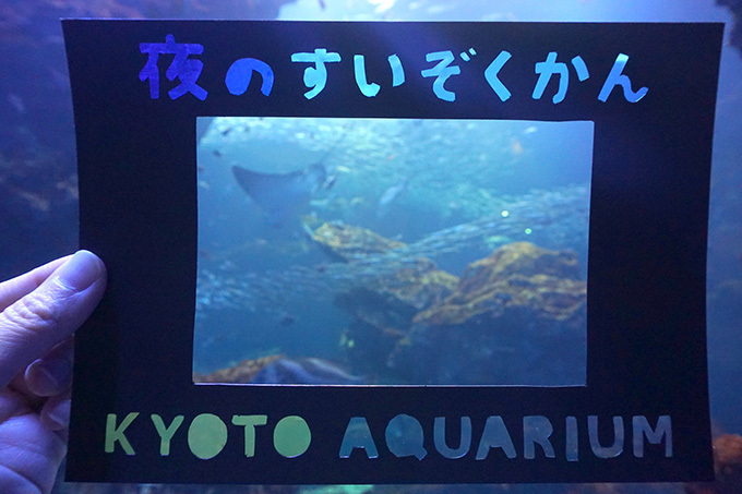 京都鉄道博物館×京都水族館「ナイトミュージアムツアー」SLの検修庫、幻想的な大水槽を120名限定で｜写真10