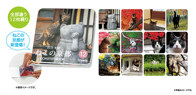 岩合光昭の新作写真展「ねこの京都」日本橋と京都伊勢丹にて - 京都で生活するねこ約160点を展示｜写真12