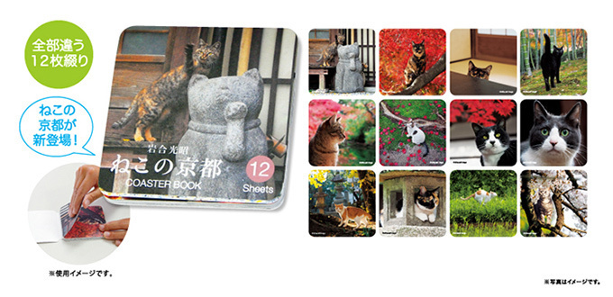 岩合光昭の新作写真展「ねこの京都」日本橋と京都伊勢丹にて - 京都で生活するねこ約160点を展示｜写真12