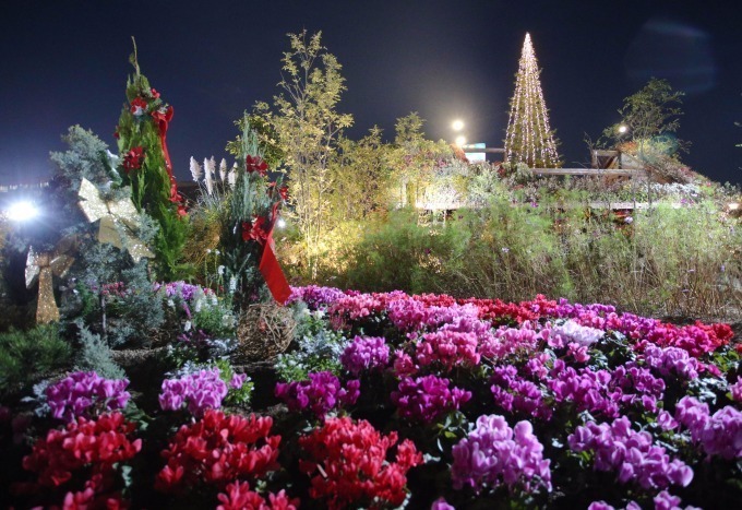 「うめきたガーデン FINAL」大阪・梅田の巨大庭園、クリスマスライトアップ＆イルミネーションも｜写真9