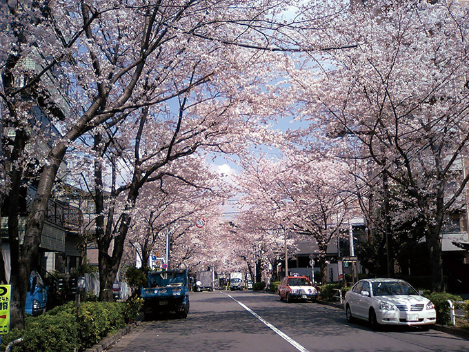 ビールを飲みながら桜並木を練り歩く「ビアウォーク」東京・かむろ坂で初開催｜写真4