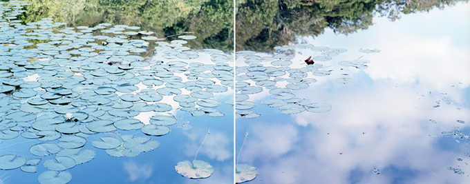 東京初の野外型国際フォトフェスティバルが上野エリアで、噴水に水鏡の写真を浮かべるユニークな展示など | 写真